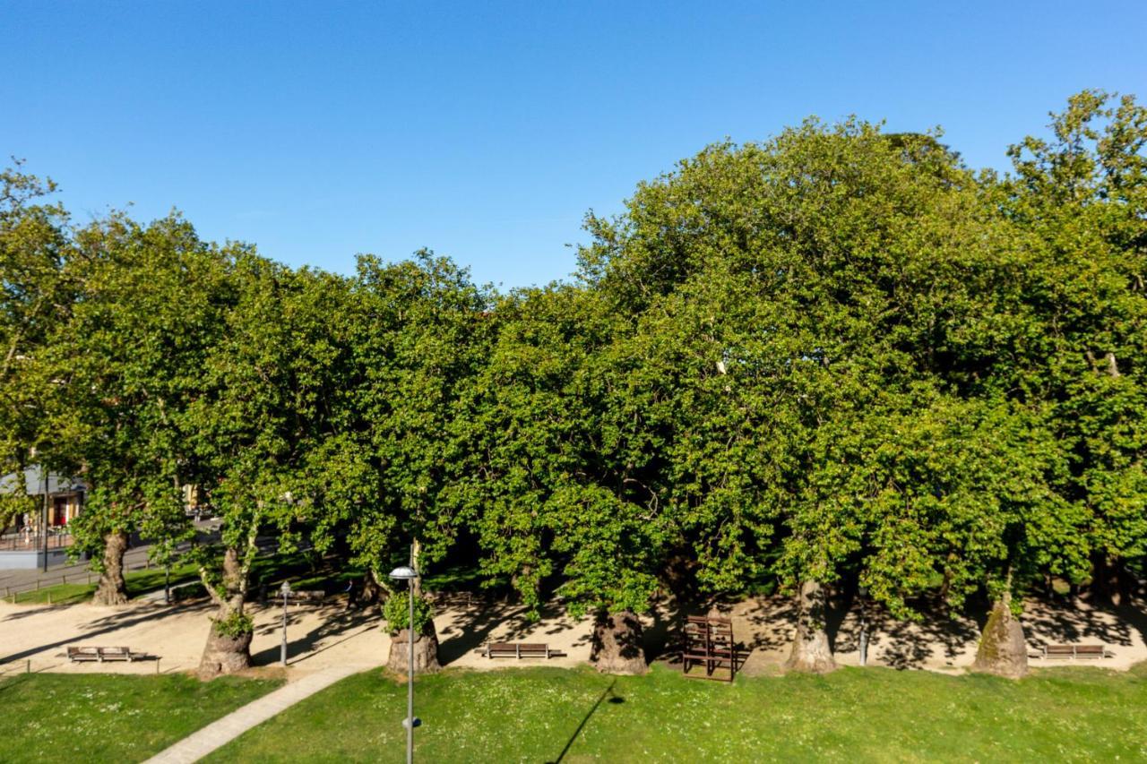 Tripas-Coracao, Cordoaria River View, Garden View Or Loft Porto Buitenkant foto